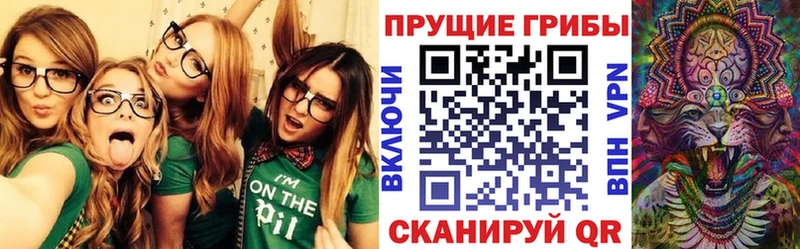Галлюциногенные грибы Psilocybine cubensis  где найти наркотики  Зарайск 